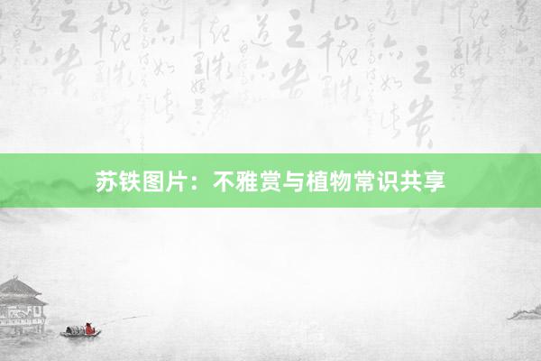 苏铁图片：不雅赏与植物常识共享