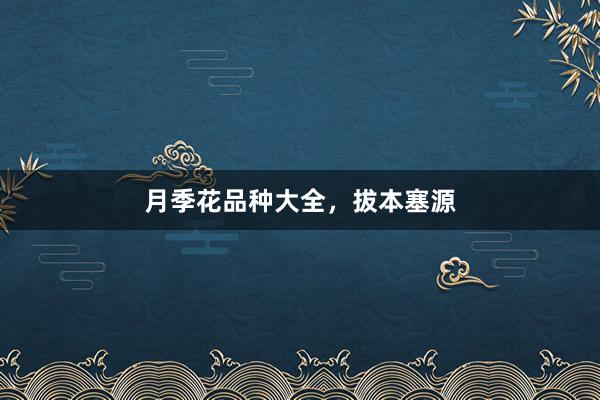 月季花品种大全，拔本塞源
