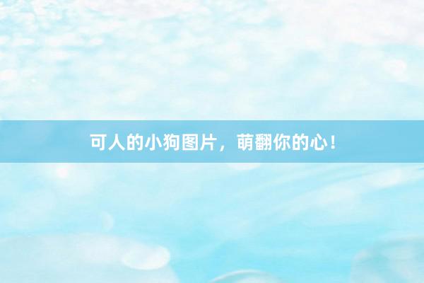 可人的小狗图片,萌翻你的心!